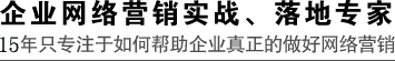 企业网络营销实战,落地专家